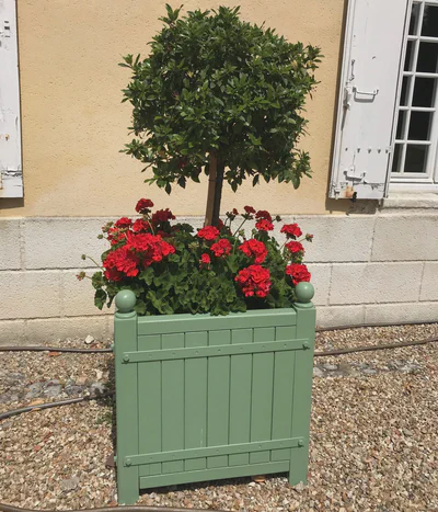 Pour quelle utilisation ?